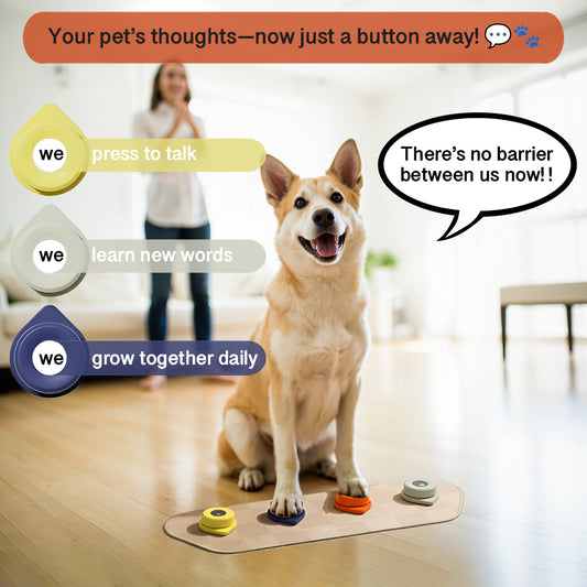 Voice Recording training Button